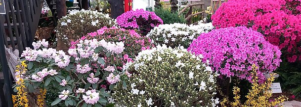 UG0325_NOE_BN_Ebreichsdorf_Ausflug_nach_Klosterneuburg