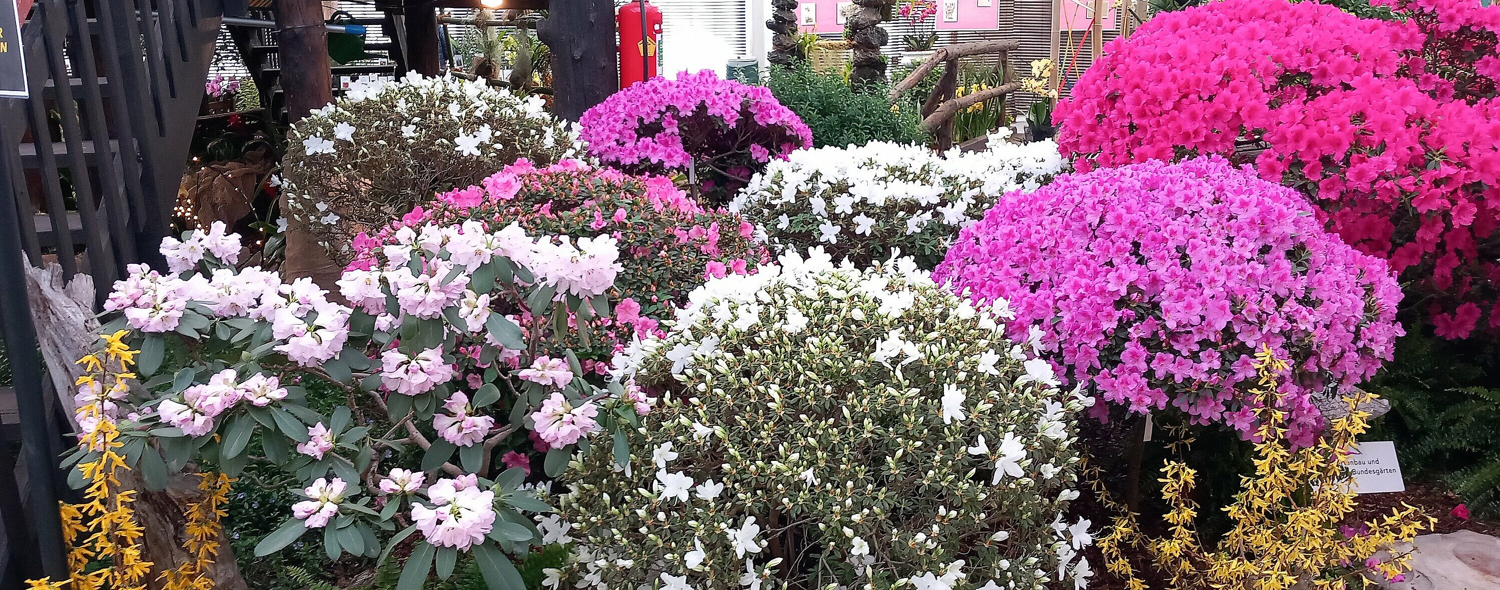 UG0325_NOE_BN_Ebreichsdorf_Ausflug_nach_Klosterneuburg