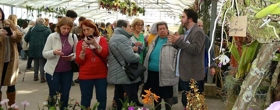 UG0326_NOE_BN_Schoenau_Triesting_Orchideen