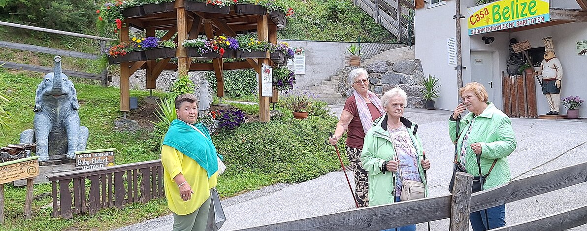 UG0526_BN_Gainfarn_weisser_Zoo.