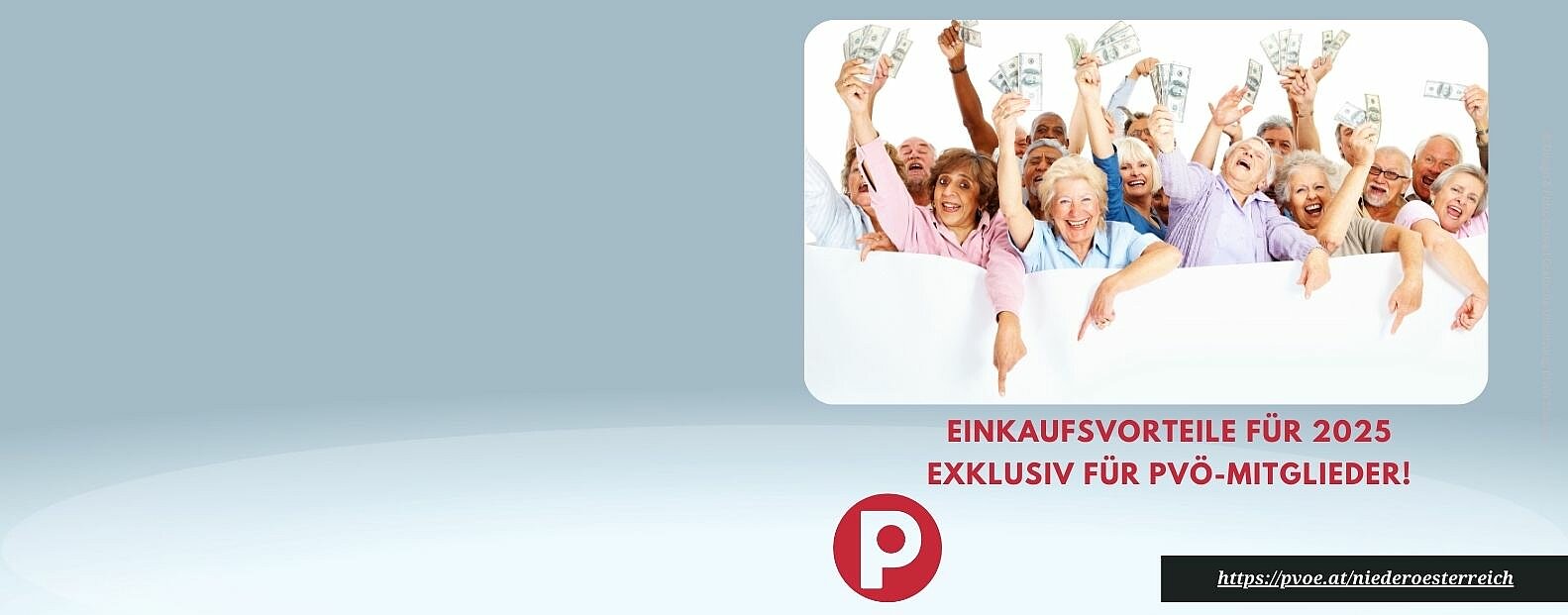 PVÖ Einkaufsvorteile für 2025 PVÖ Einkaufsvorteile für 2025