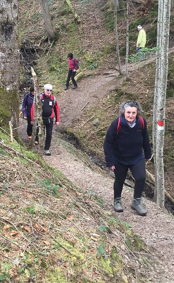 Wandern, Wald, Stöcke