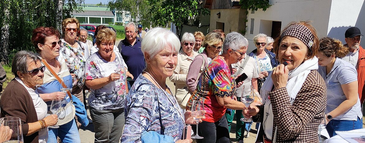 GAINFARN-BAD_VOESLAU_Kellergasse_in_Duernleis_2