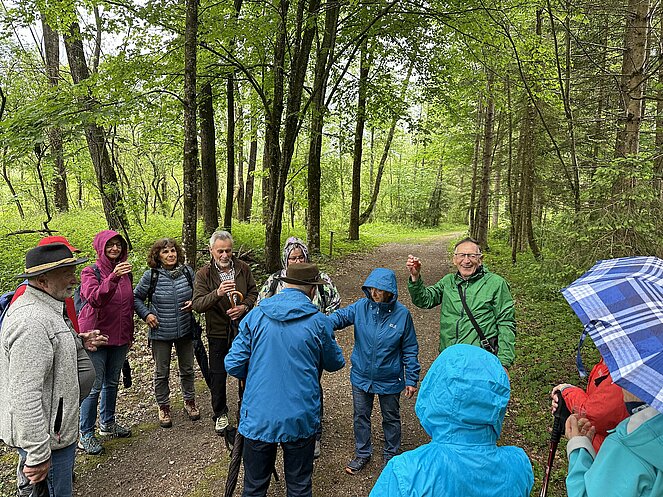 Der Frauenschuh blüht,