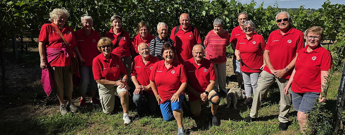 UG0525_NOE_BN_Enzersdfeld-l_Neue_Polos