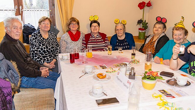 Faschingsfest der OG Yspertal