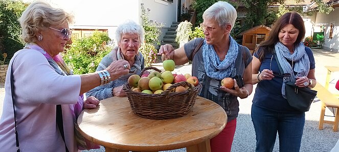 Ausflug ins steirische Apfelland der OG Gaenserndorf