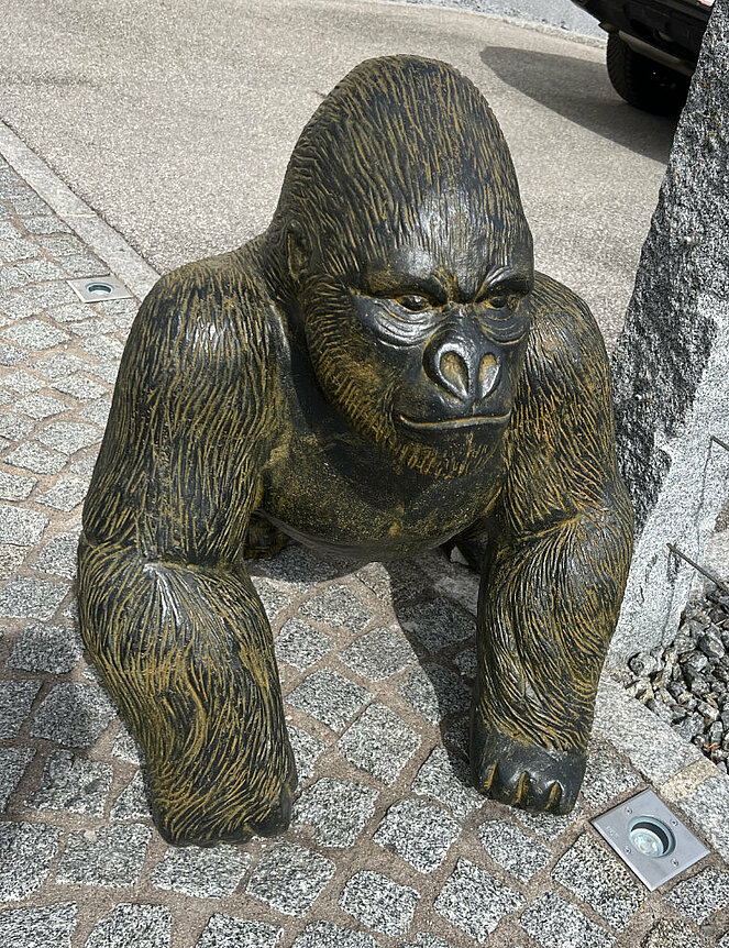 Tier - Affe - Gorilla