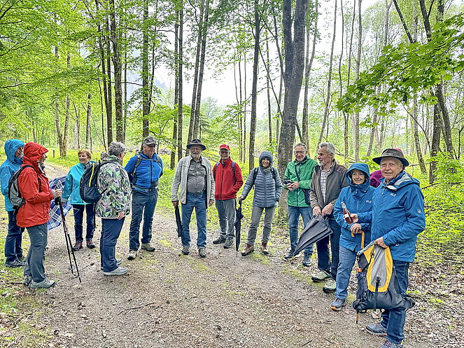 Der Frauenschuh blüht,