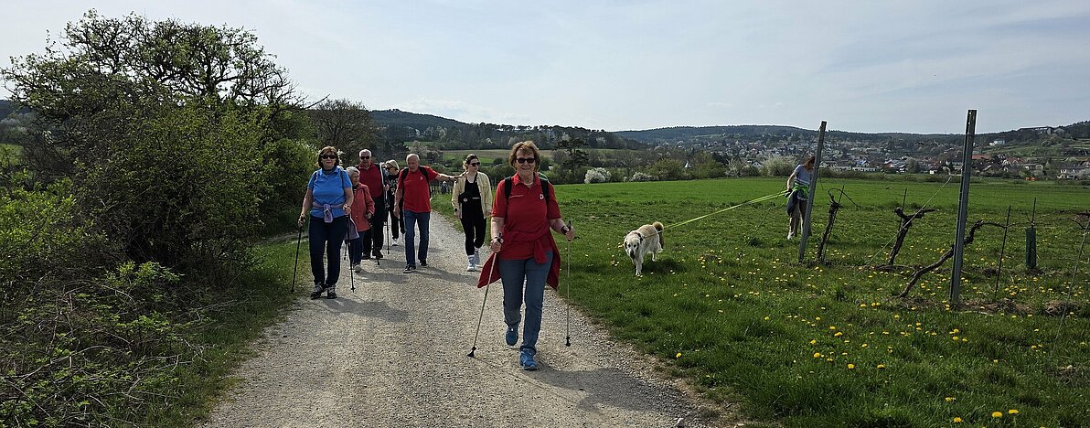 UG0425_NOE_BN_ENZ_L_Wandern2