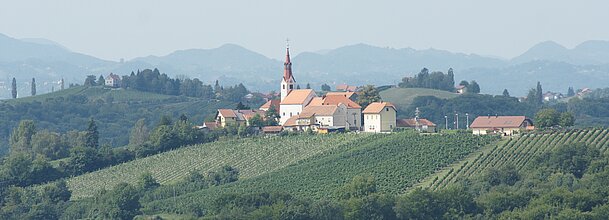Weinberge