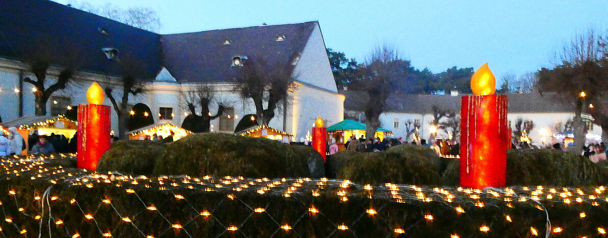 UG0225_NOE_BN_Tribuswinkel_Hauswirth-5