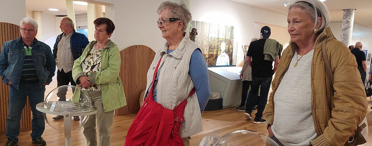 UG0425_NOE_BN_Traiskirchen_Wildnis-2