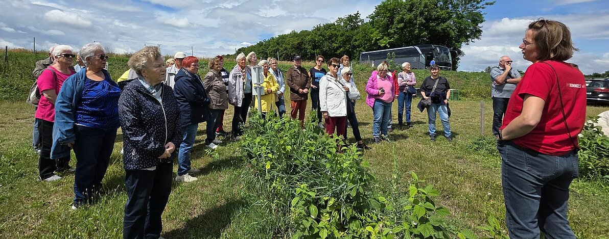 UG0525_NOE_BN_Triaskirchen_Himbeerland_3