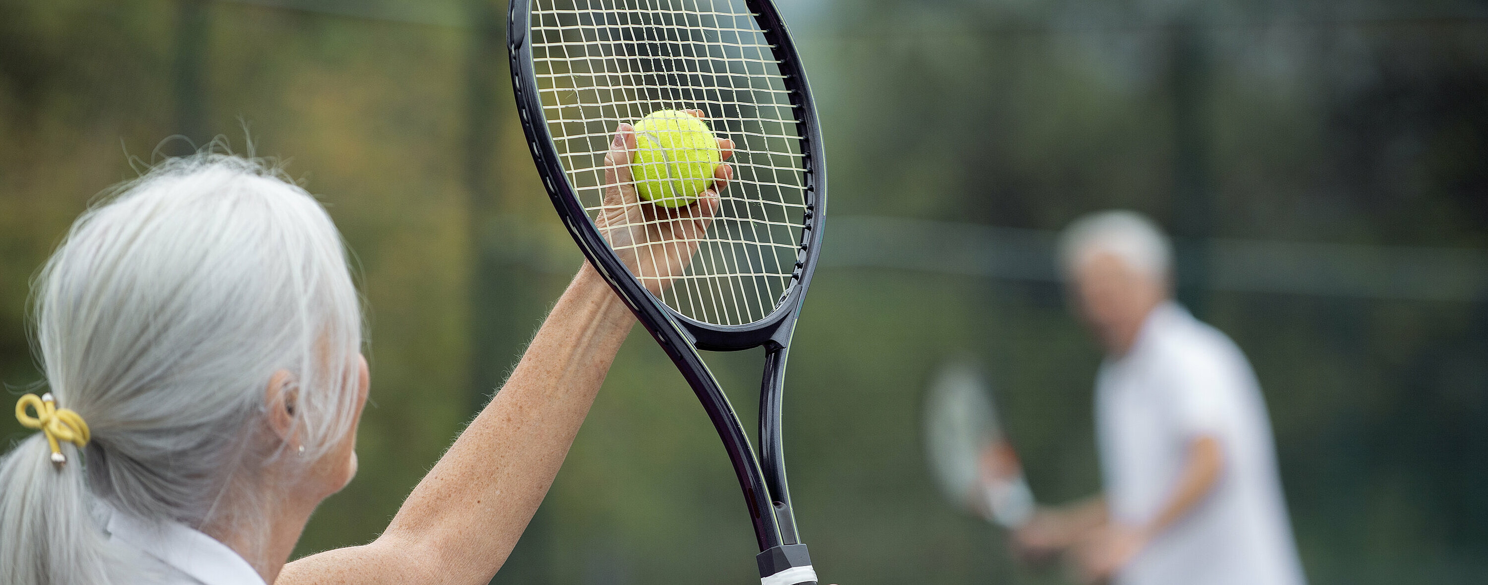 Schläger, Ball, Netz