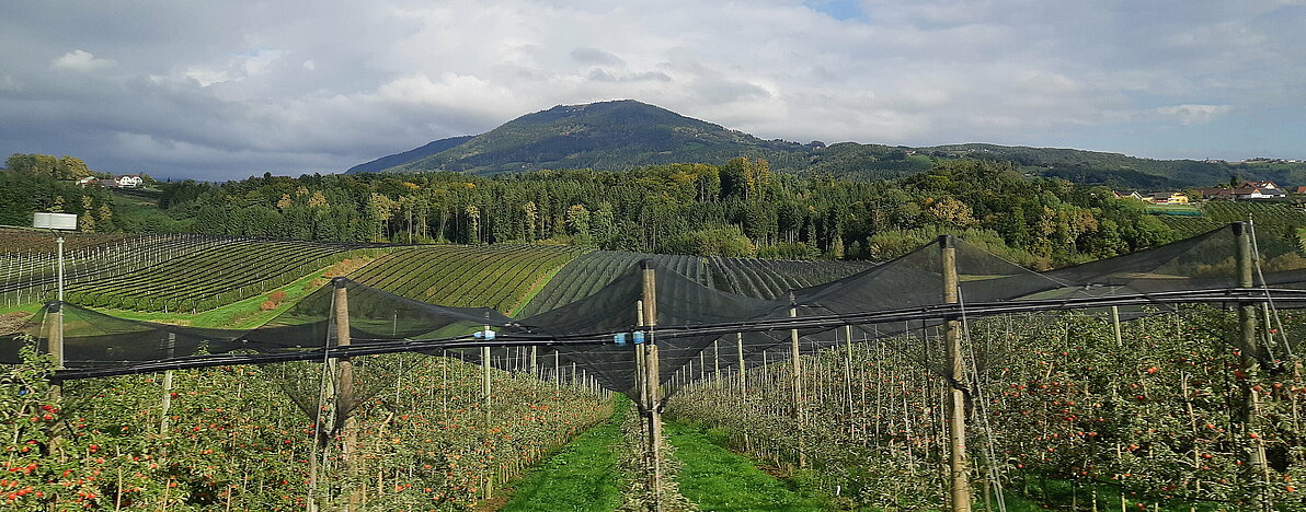 Enzesfeld-Lindabrunn_Apfelstrasse_2024_8 Enzesfeld-Lindabrunn_Apfelstrasse_2024_8