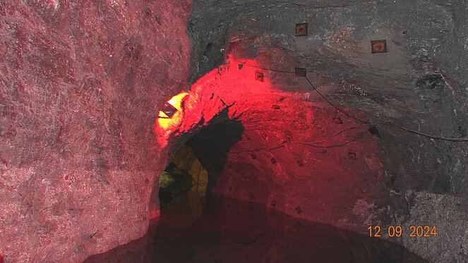 Ausflug Seegrotte und Stadtmuseum Traiskirchen 2024