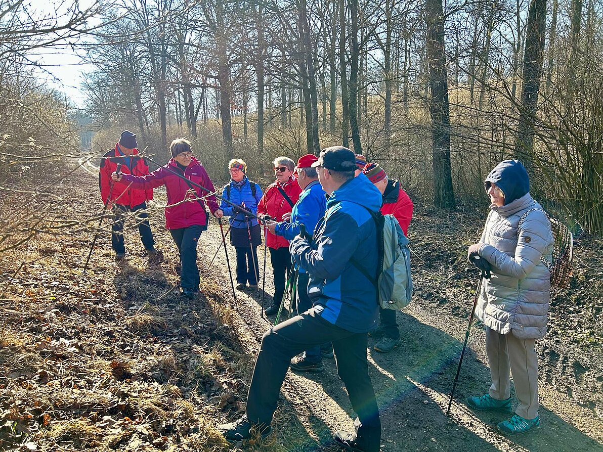 2026 Wanderung im Hochleithenwald - und endlich scheint die Sonne
