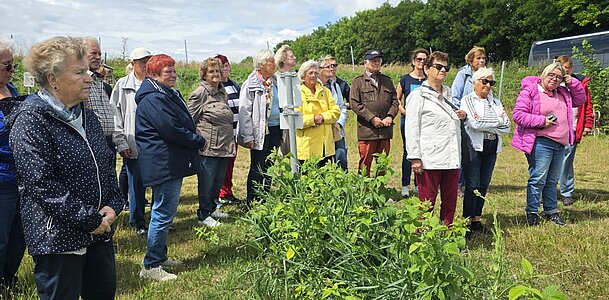 UG0525_NOE_BN_Traiskirchen_Himbeerland