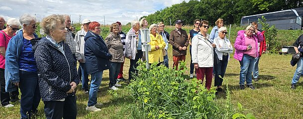 UG0525_NOE_BN_Traiskirchen_Himbeerland UG0525_NOE_BN_Traiskirchen_Himbeerland