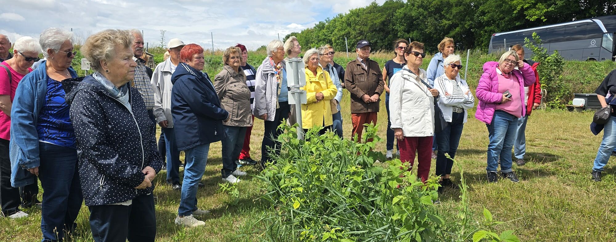 UG0525_NOE_BN_Traiskirchen_Himbeerland