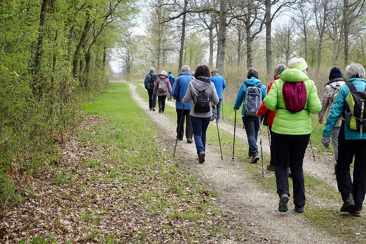 Frühlingswanderung im Hochleithenwald 2025