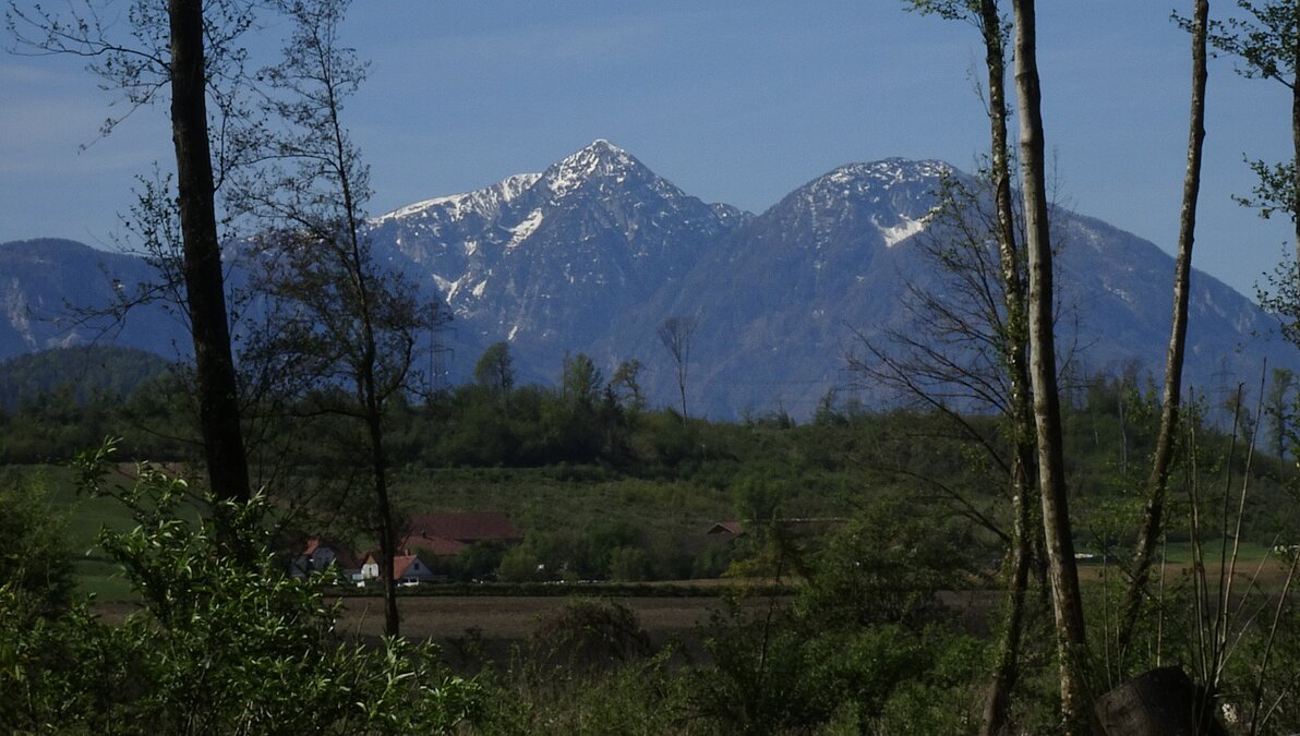 Drau Auen Wanderung