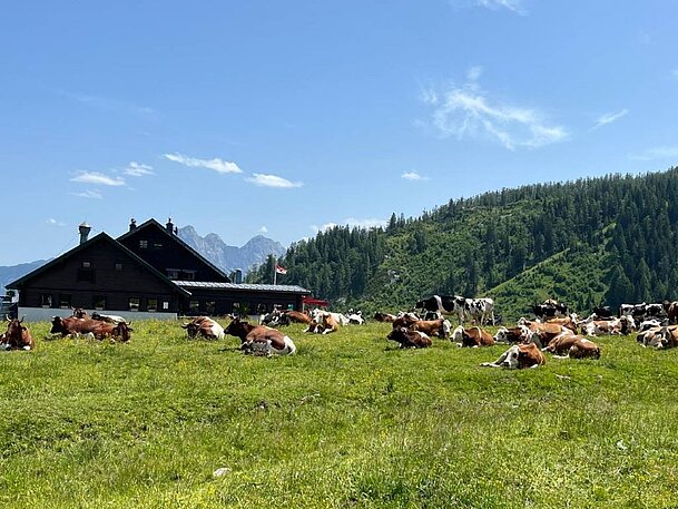 Bezirkswandertag