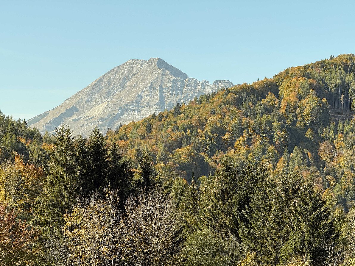 2026 Tagesausflug nach Mariazell