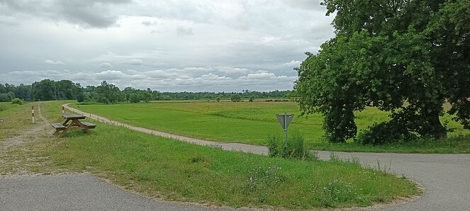 DROESING_Wandertag DROESING_Wandertag