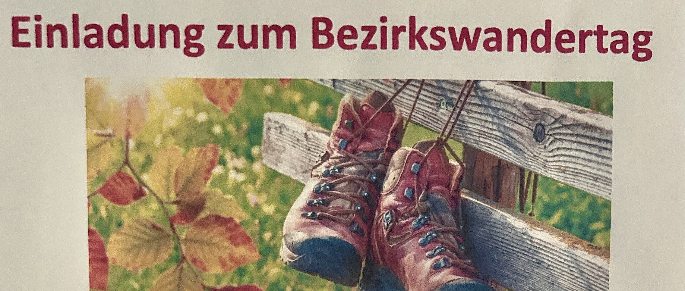 Beirkswandertag