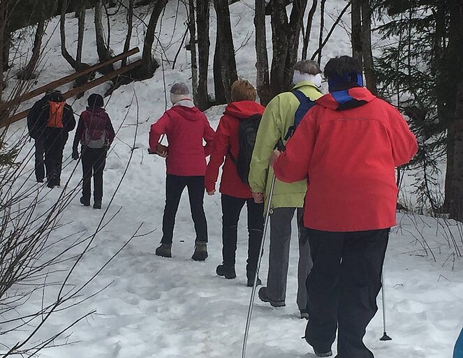 Wandern, Schnee, Wald, Stöcke