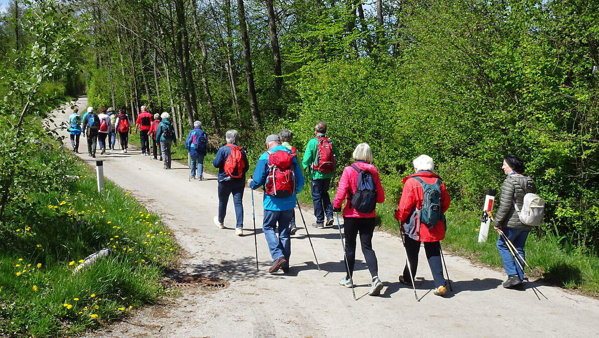 Drau Auen Wanderung