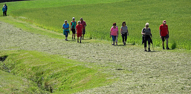 Wandern 12. Juni
