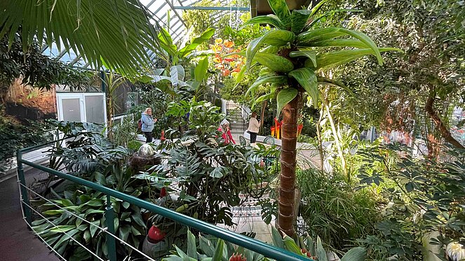 Tagesausflug Heiligenkreuz