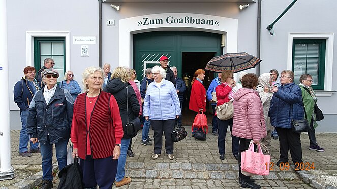 Ausflug Seegrotte und Stadtmuseum Traiskirchen 2024