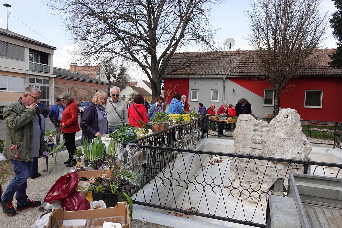 Pflanzenmarkt 2025