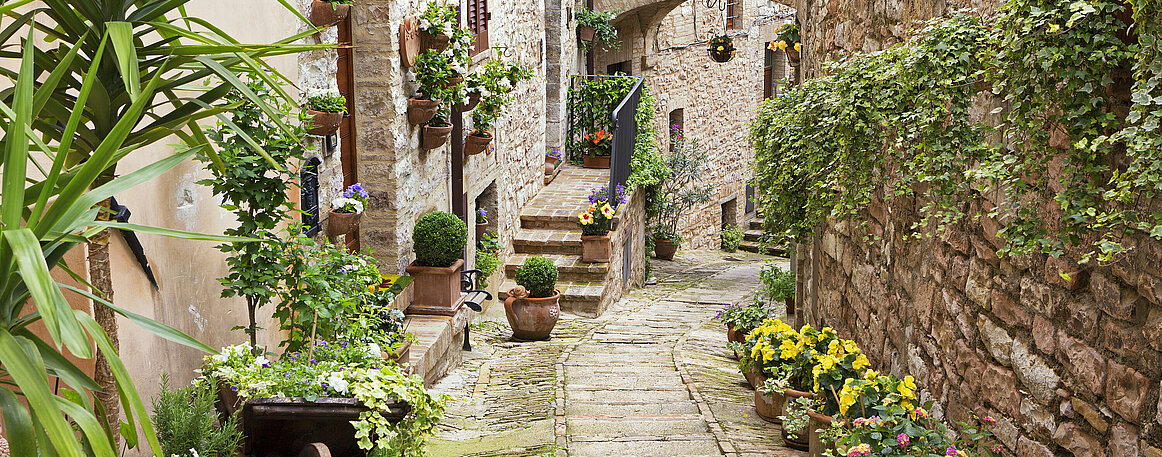 Idyllic alley with potted plants in Spello, Umbria Italy