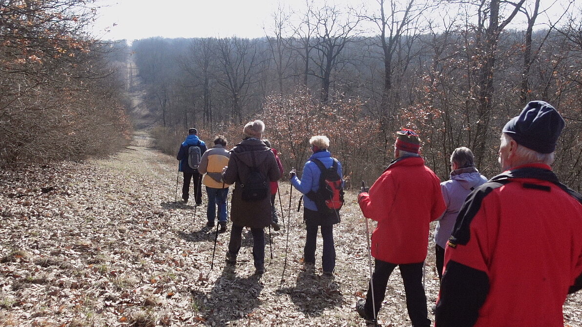 2026 Wanderung im Hochleithenwald - und endlich scheint die Sonne