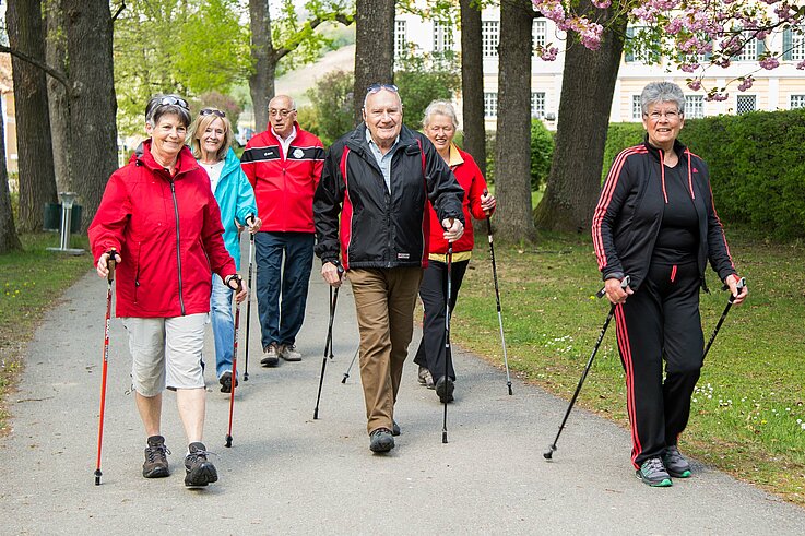 Das Bild zeigt eine Gruppe älterer Menschen beim Nordic-Walking im Park.