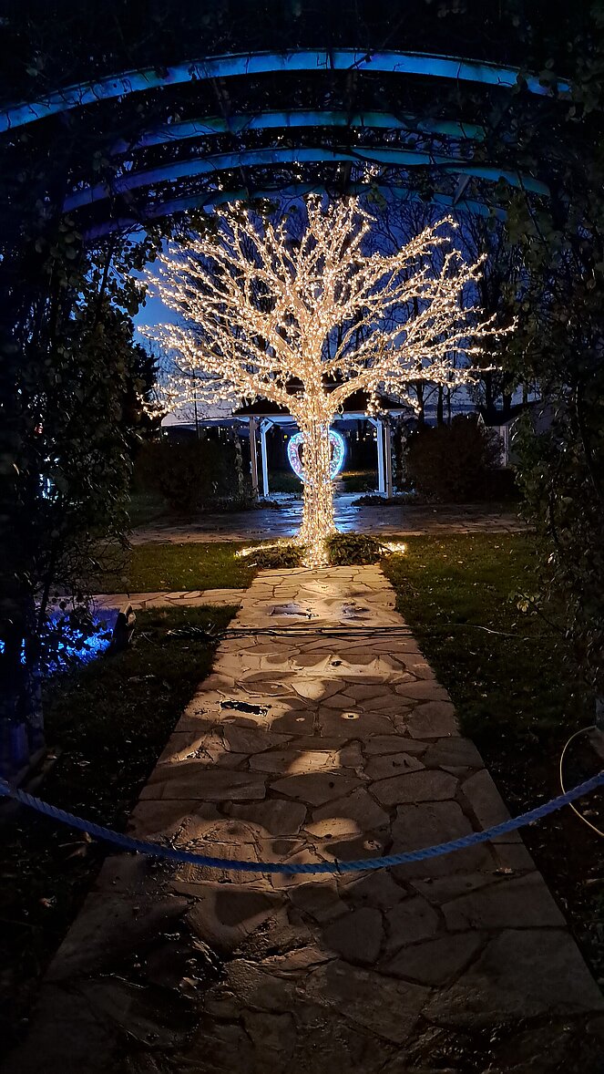 Lichterbaum