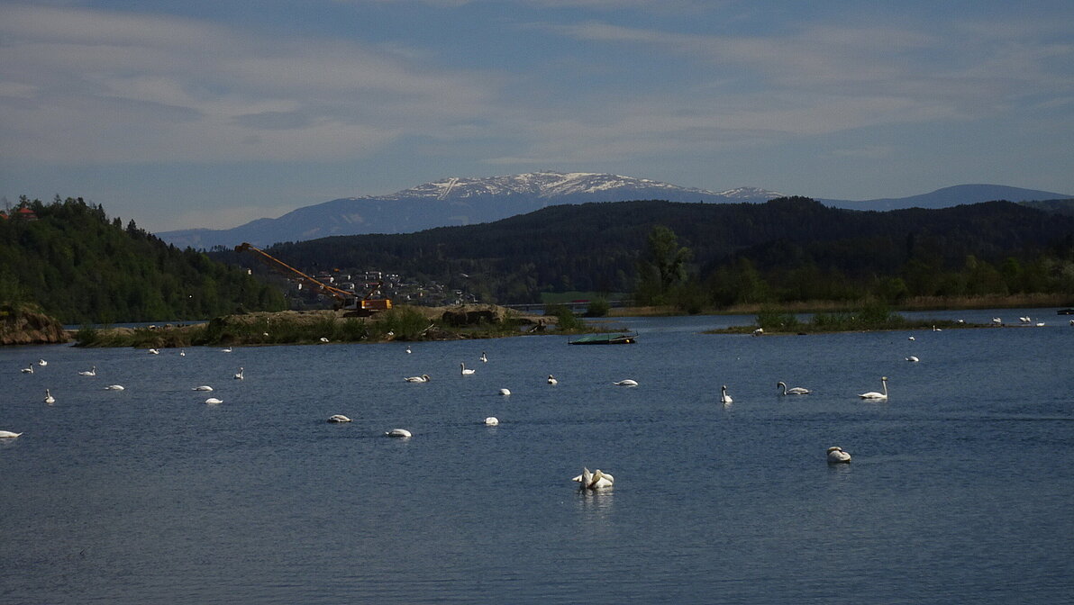 Drau Auen Wanderung