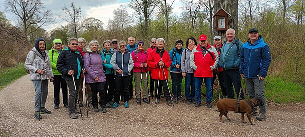 Wandergruppe im Hochleithenwald 2025