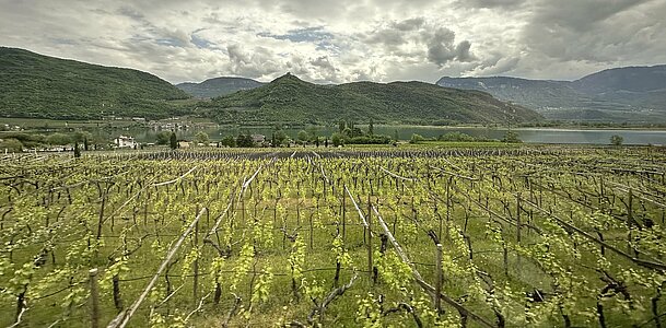 Tagesreise zum Kalterer-See