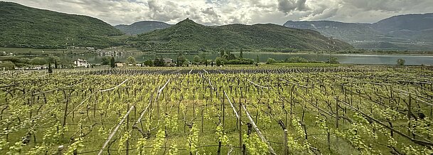 Tagesreise zum Kalterer-See