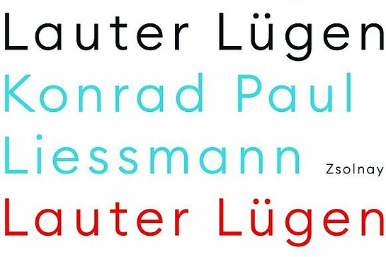 Konrad Paul Liessmann | Lauter Lügen | Sachbuch