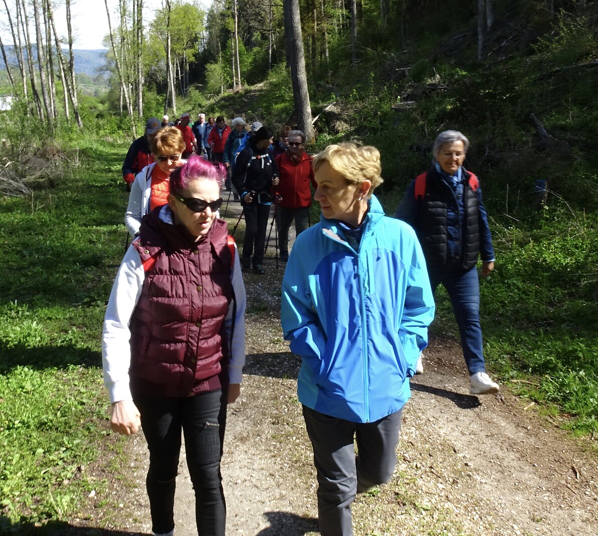 Drau Auen Wanderung