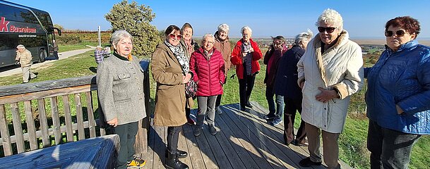 UG0125_NOE_BN_Gainfarn_Bad_Voeslau_Aussichtsplattform_Oggau UG0125_NOE_BN_Gainfarn_Bad_Voeslau_Aussichtsplattform_Oggau