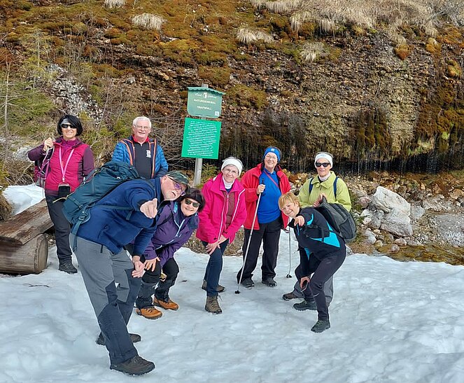 Wald, Schnee, Wasserfall