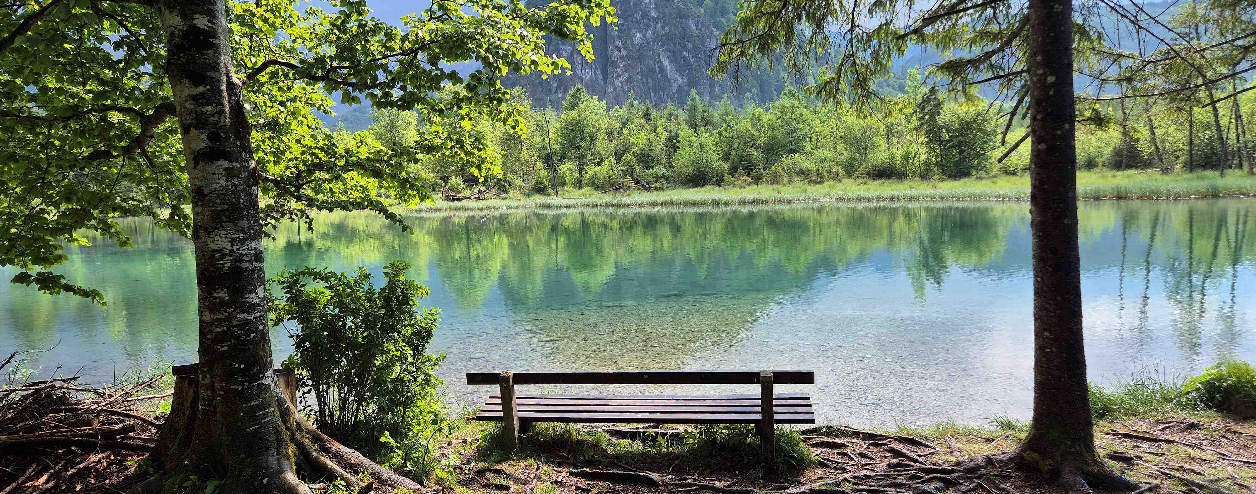 Almsee
